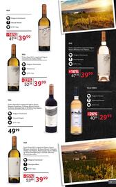 Catalog Selgros | Alcool Pagină 17