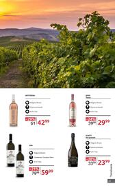 Catalog Selgros | Alcool Pagină 21