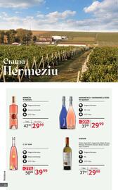 Catalog Selgros | Alcool Pagină 22