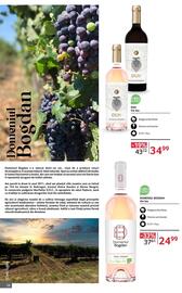 Catalog Selgros | Alcool Pagină 28