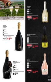 Catalog Selgros | Alcool Pagină 39