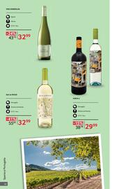 Catalog Selgros | Alcool Pagină 42