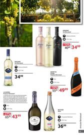 Catalog Selgros | Alcool Pagină 45