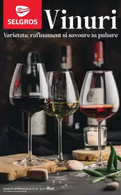 Catalog Selgros (valid până la 31-10)