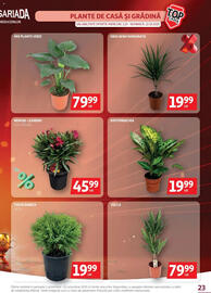 Catalog Auchan Pagină 23