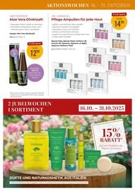 Martin Reformstark Flugblatt Seite 19