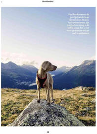 Maxi Zoo folder Pagina 14