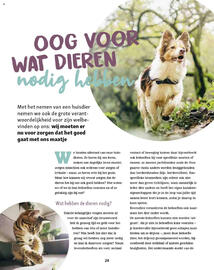 Maxi Zoo folder Pagina 24