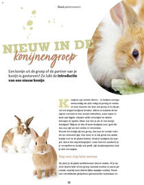 Maxi Zoo folder Pagina 32