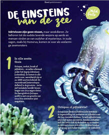 Maxi Zoo folder Pagina 36