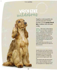 Maxi Zoo folder Pagina 44