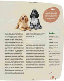 Maxi Zoo folder Pagina 45