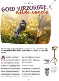 Maxi Zoo folder Pagina 46