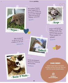 Maxi Zoo folder Pagina 53