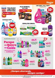 Folleto Farmacias Guadalajara Página 7