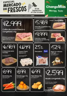 Catálogo Punto Mayorista (válido hasta 2-10)