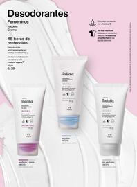 Catálogo Natura Página 113