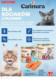 Kaufland gazetka Strona 10