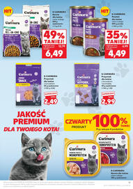 Kaufland gazetka Strona 11