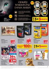 Kaufland gazetka Strona 15