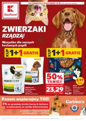 Kaufland gazetka (ważność do 15-10)