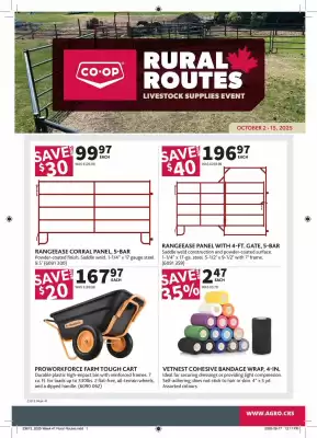 Co-op flyer (valid until 15-10)