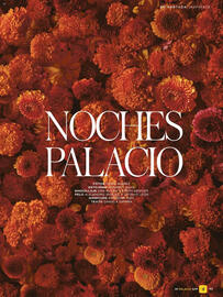 Catálogo Palacio de Hierro Página 65