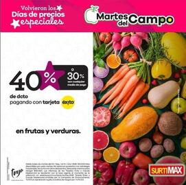 Catálogo Surtimax Página 4