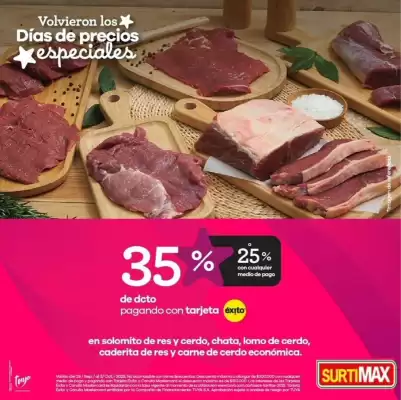 Catálogo Surtimax (válido hasta 3-10)