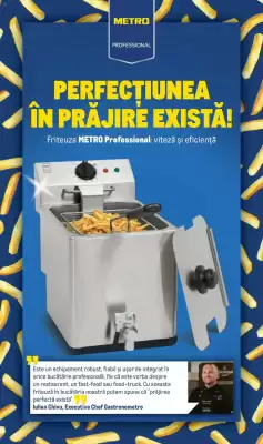 Catalog Metro (valid până la 31-12)