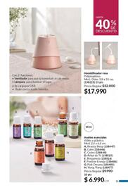 Catálogo Avon Página 53
