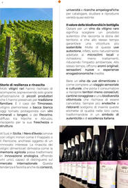 Volantino Supermercati Gulliver Pagina 21