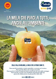 Volantino Supermercati Gulliver Pagina 8