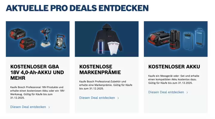 Bosch Professional Flugblatt (gültig bis 31-12)