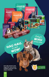 Stokrotka Market gazetka tydzień 40 Strona 31