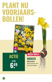 GroenRijk folder week 40 Pagina 21