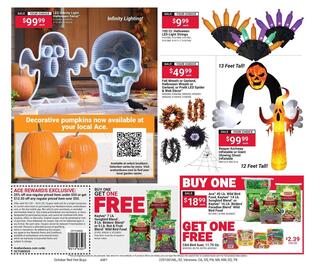Ace Hardware flyer Page 2