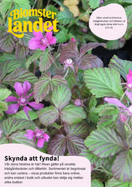 Granngården kampanjblad Sida 1