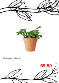 Granngården kampanjblad Sida 4