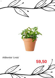 Granngården kampanjblad Sida 5