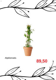 Granngården kampanjblad Sida 6