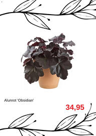 Granngården kampanjblad Sida 8