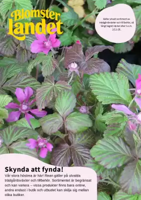 Granngården kampanjblad (giltig till och med 31-10)