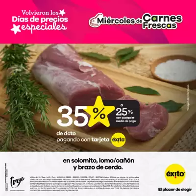 Catálogo Éxito (válido hasta 3-10)