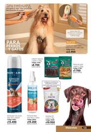 Catálogo Nova Venta Página 141