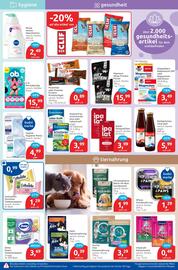 Budni Prospekt woche 43 Seite 5