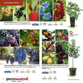 Catalogue Bricomarché page 15