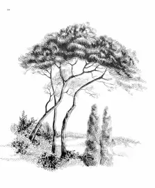 Catalogue Fragonard page 100