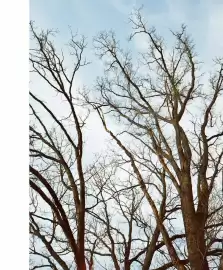 Catalogue Fragonard page 45