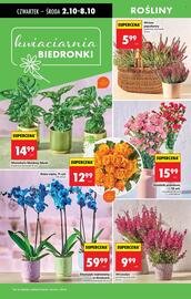 Biedronka gazetka tydzień 40 Strona 63